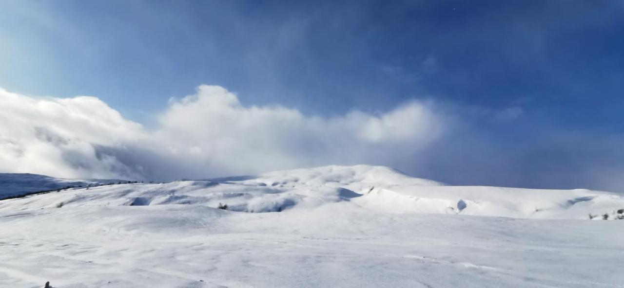 Mlodge - The Mountain Lodge Σόγκνταλ Εξωτερικό φωτογραφία